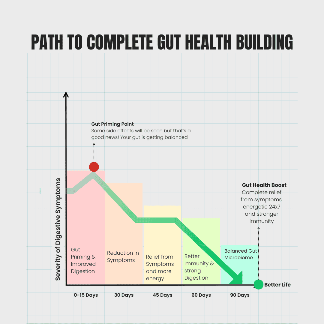 Gut Health Booster With Best Probiotics supplement